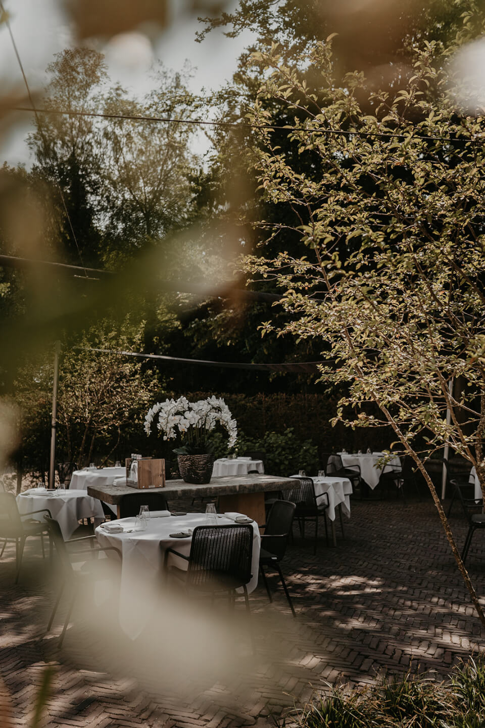 Wolfslaar terras 44