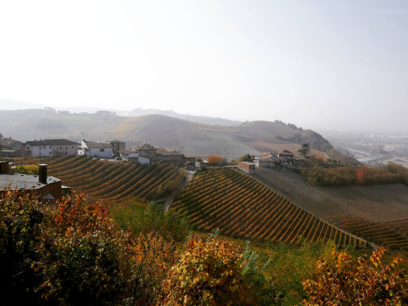 Barolo Barbaresco Piemonte