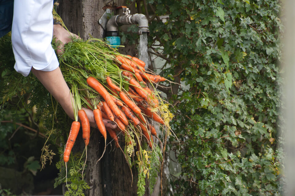 Robert Govers Fotograaf kl 4036